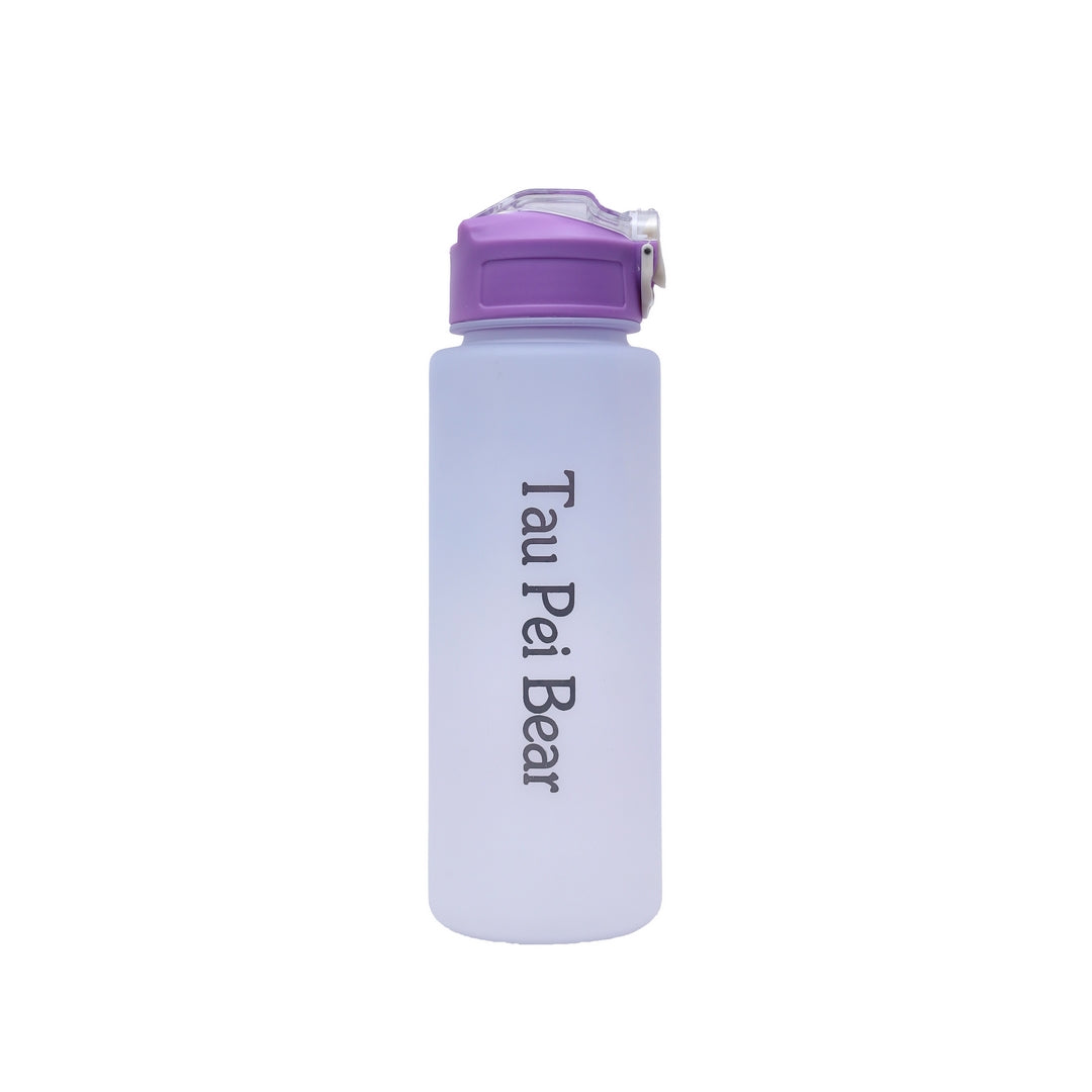 3 in 1 Water Bottle