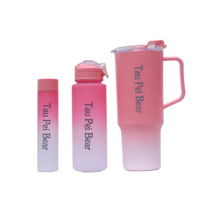 3 in 1 Water Bottle