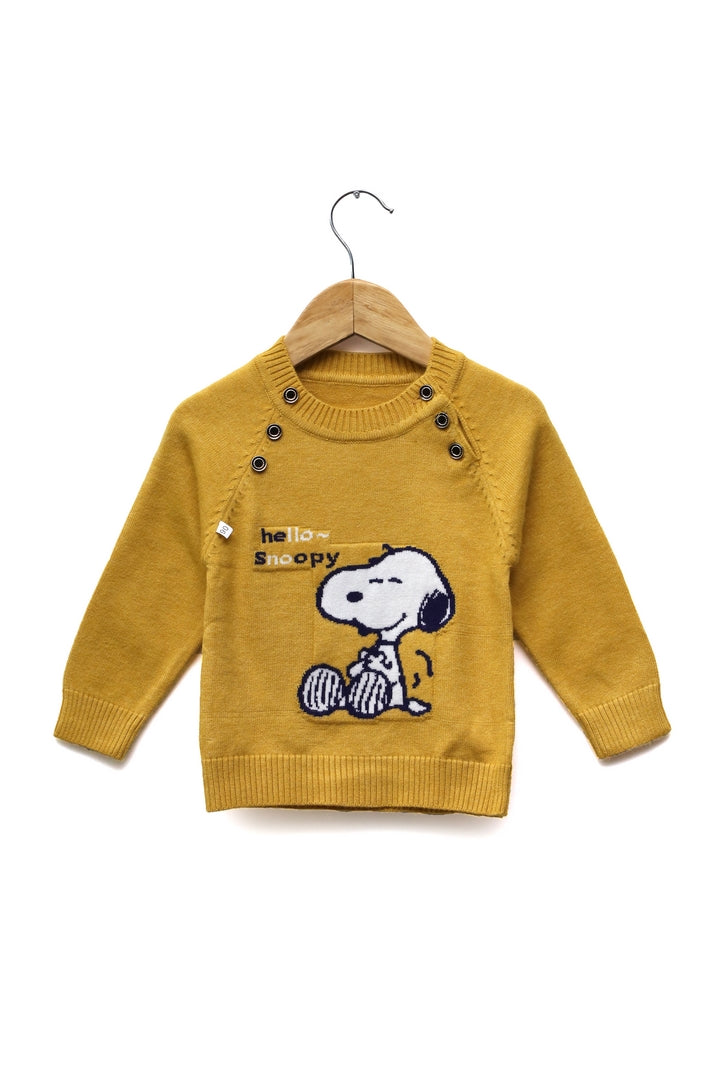 Boys Round Neck Sweater