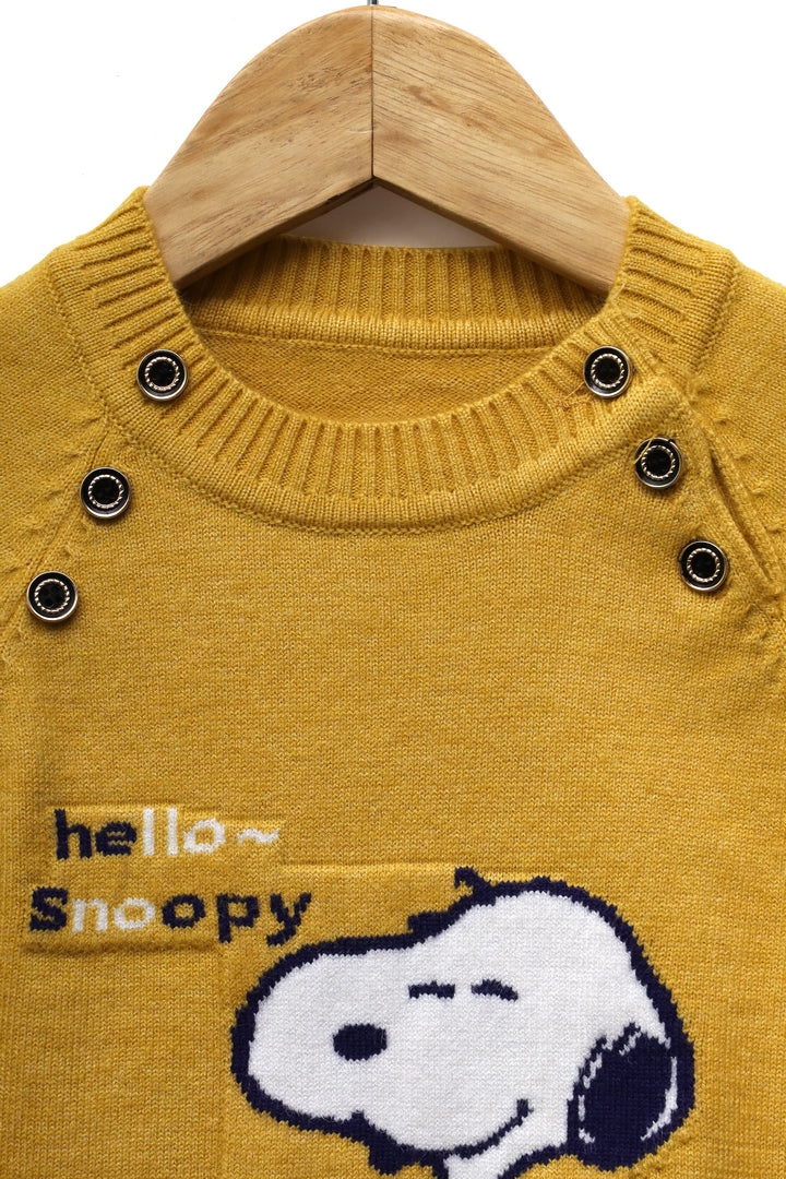 Boys Round Neck Sweater