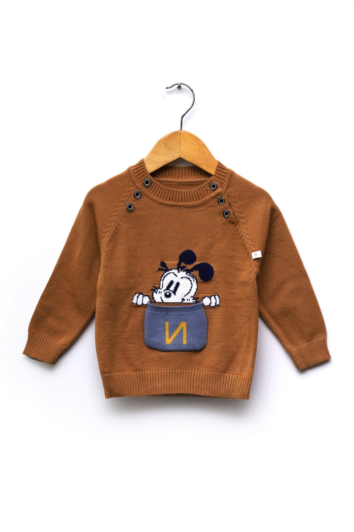 Boys Round Neck Sweater