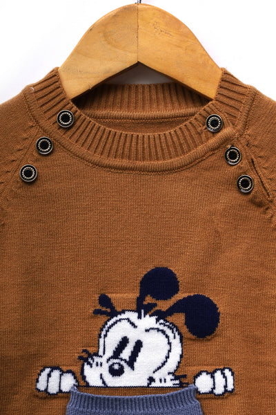 Boys Round Neck Sweater