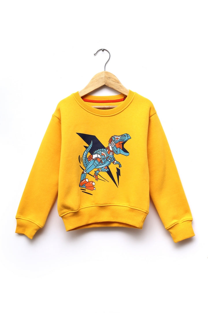 Boys Sweatshirt