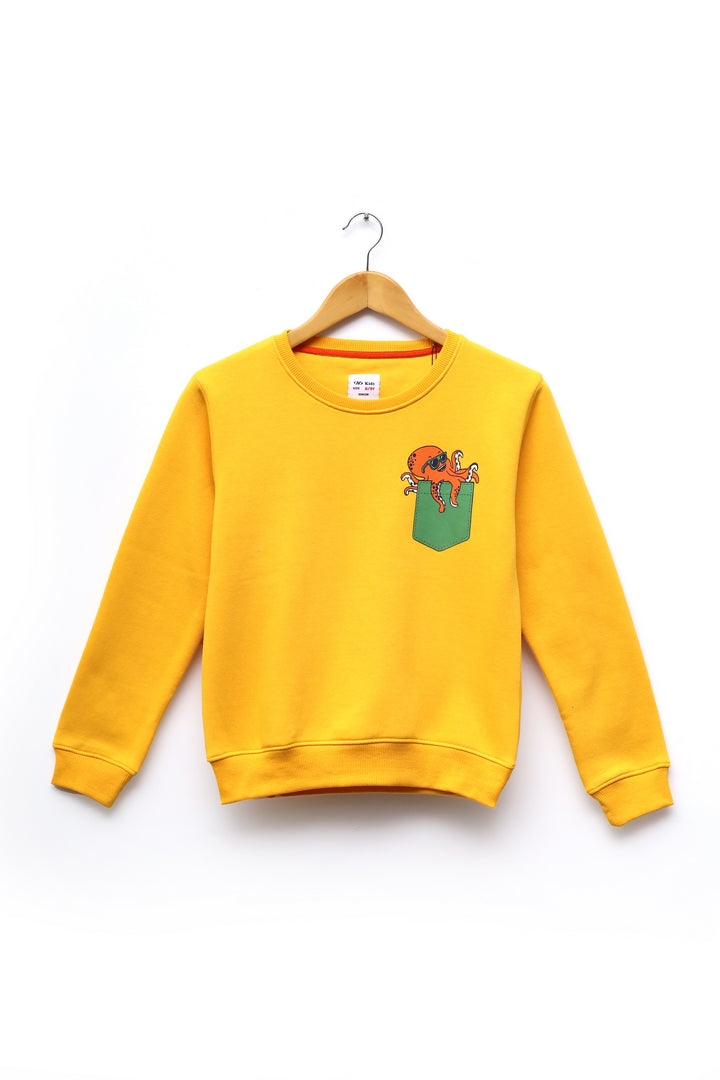 Boys Sweatshirt